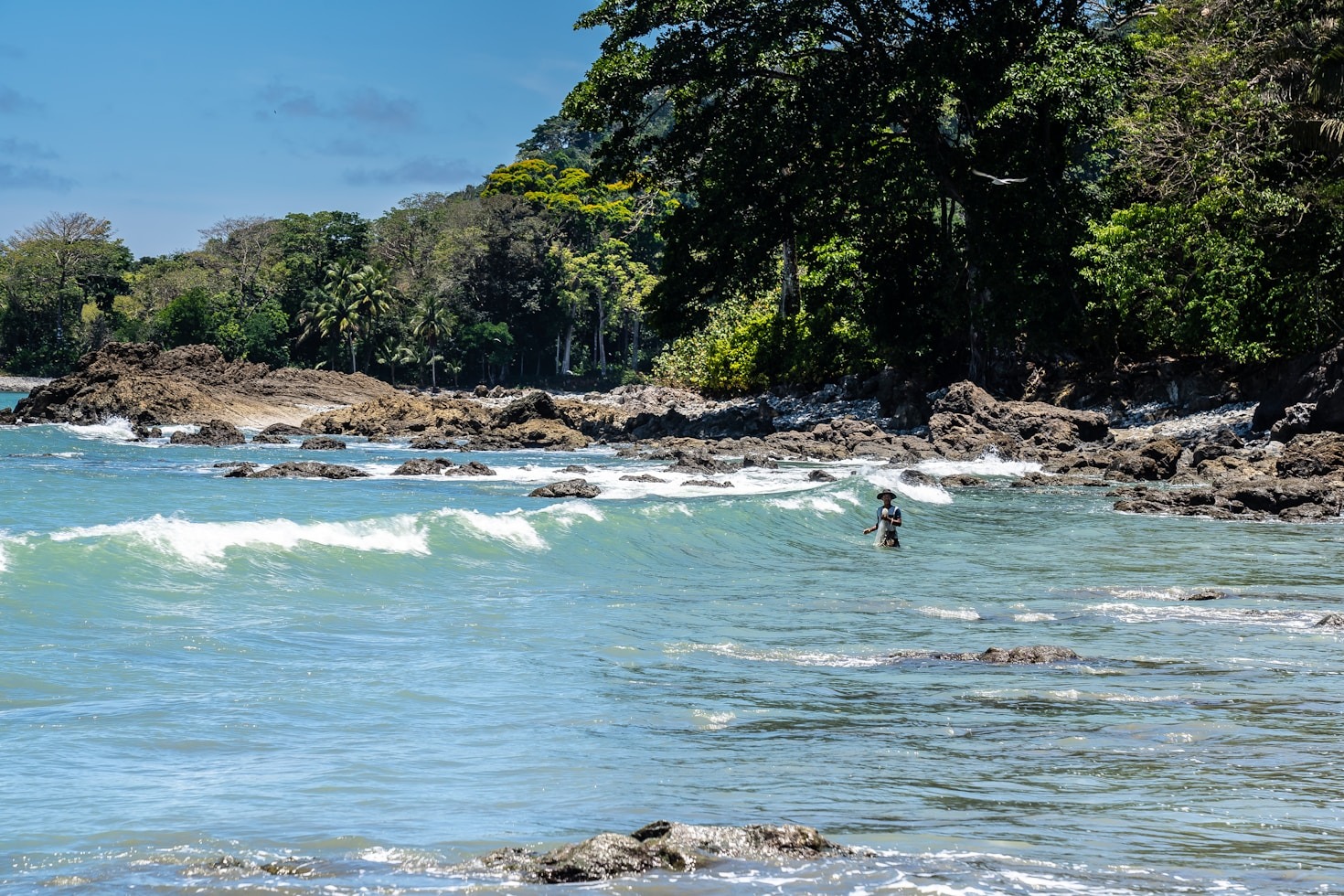 The Importance of Visual Stories in Environmental Campaigns