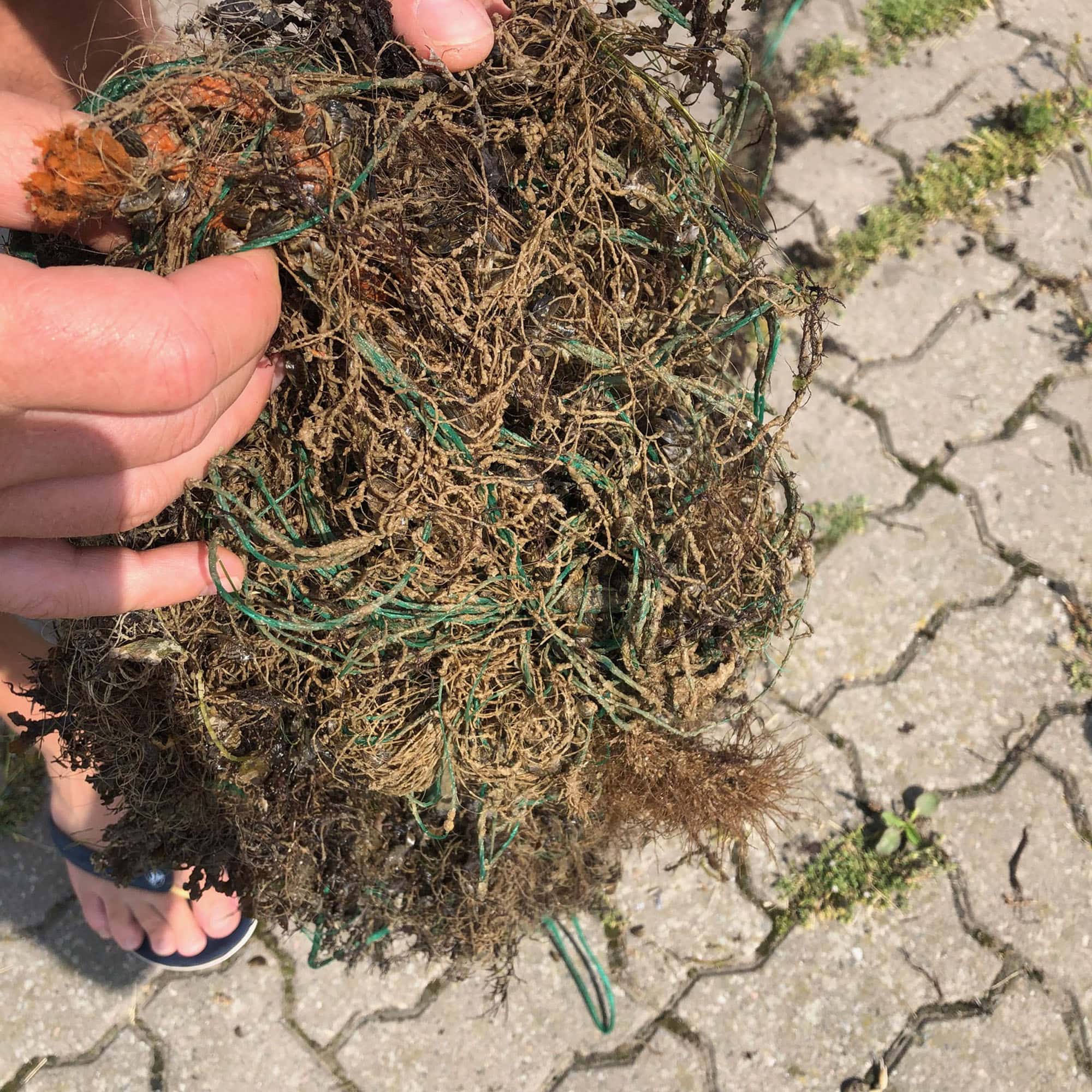 Puise WP2 Workshops_11 (Photo: © M. Press) Puise WP2 Workshops (Photo: © M. Press)