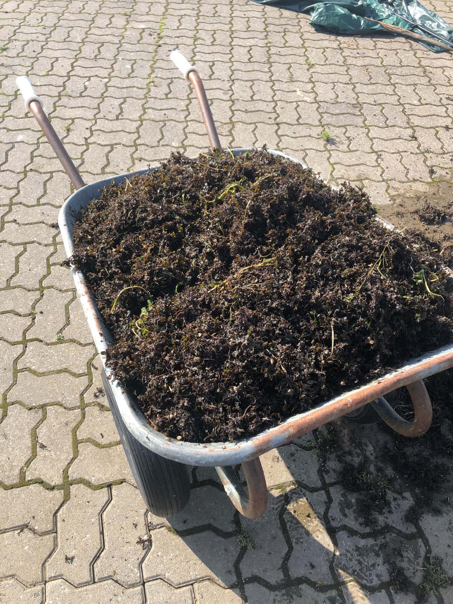 Puise WP2 Workshops_8 (Photo: © M. Press) Puise WP2 Workshops (Photo: © M. Press)