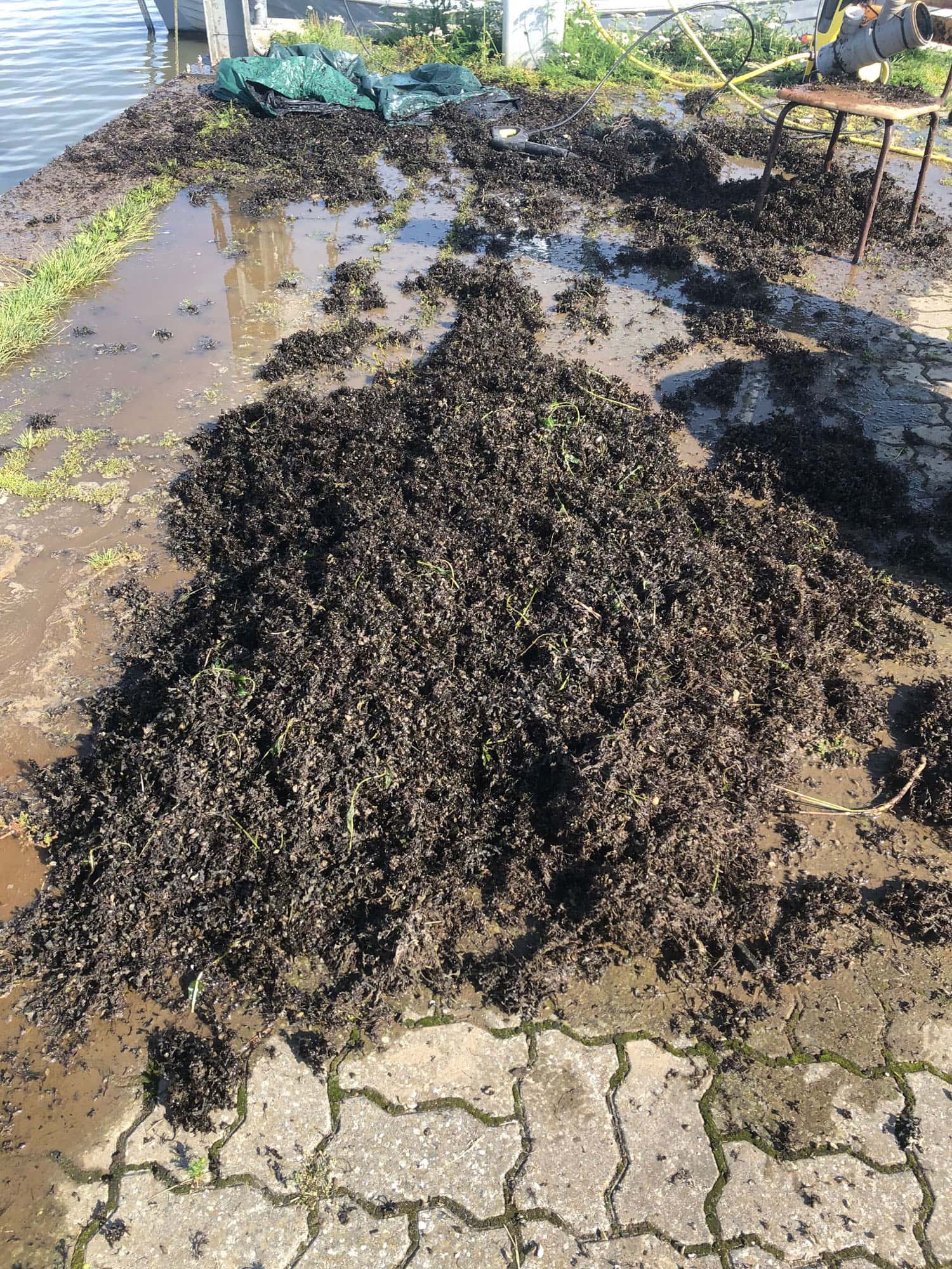 Puise WP2 Workshops_7 (Photo: © M. Press) Puise WP2 Workshops (Photo: © M. Press)