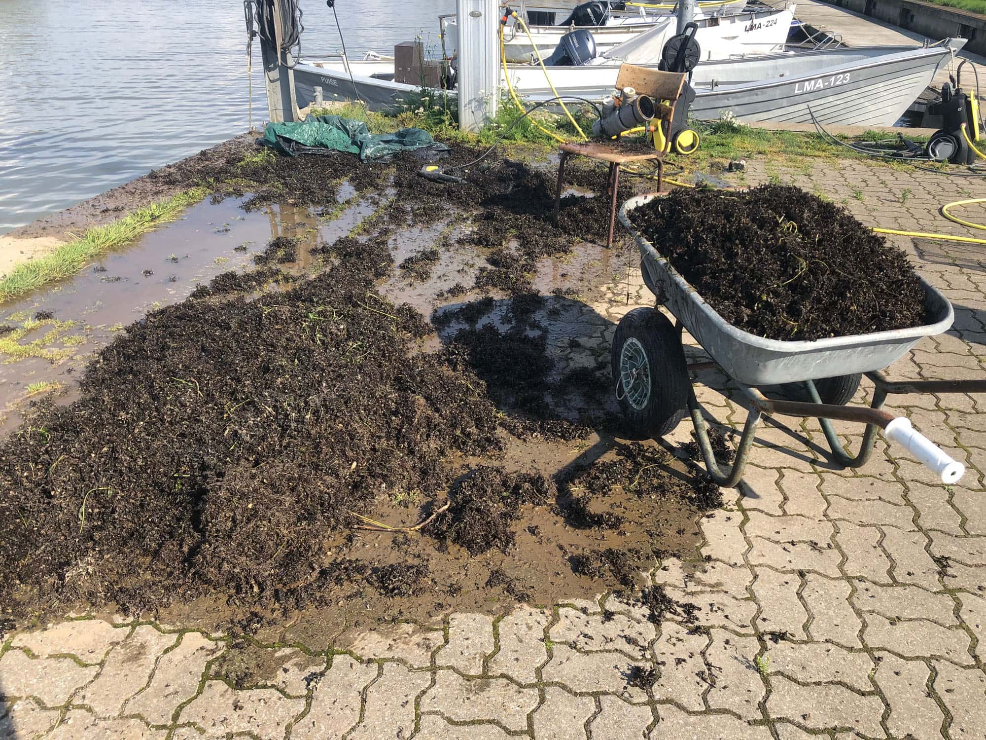 Puise WP2 Workshops_6 (Photo: © M. Press) Puise WP2 Workshops (Photo: © M. Press)