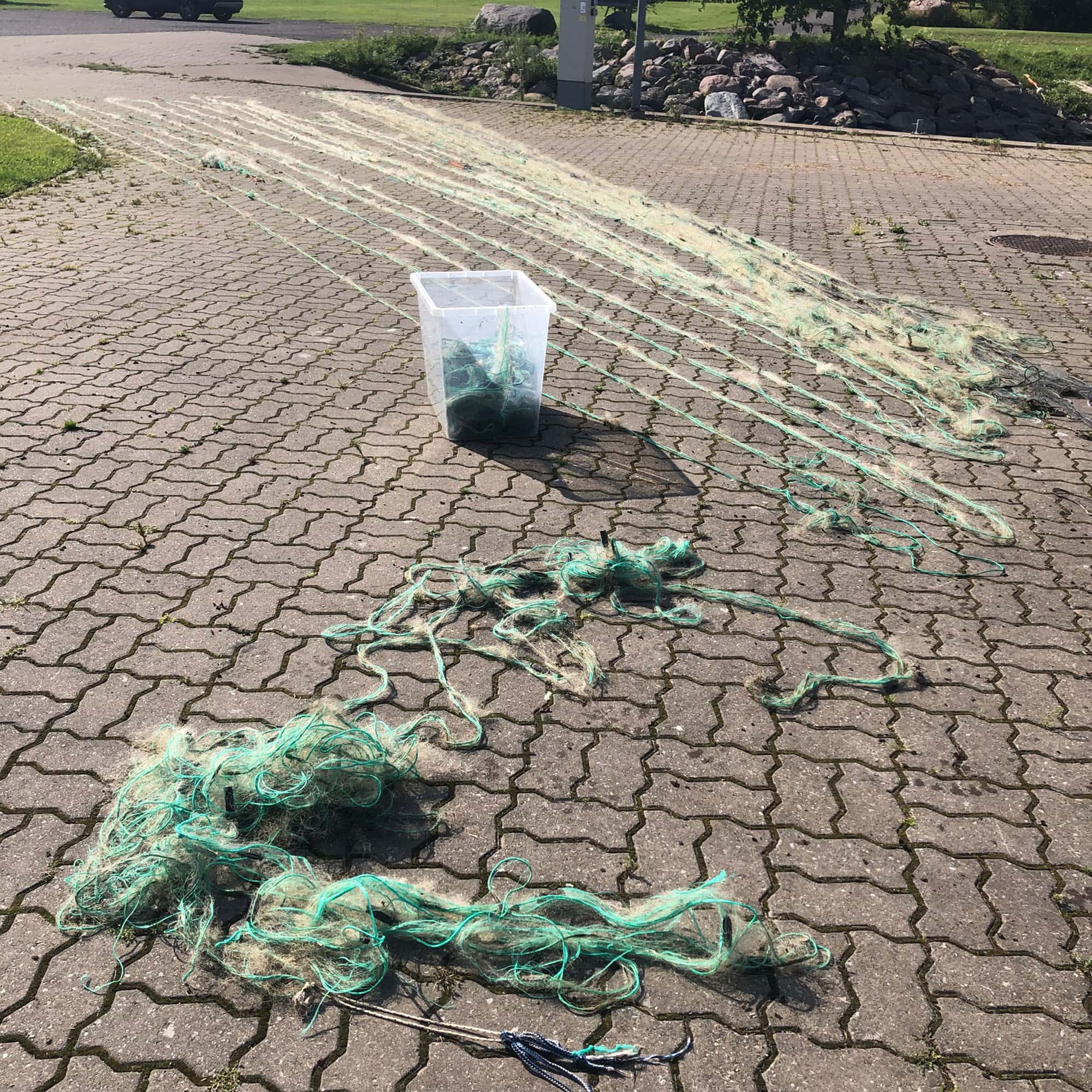 Puise WP2 Workshops_4 (Photo: © M. Press) Puise WP2 Workshops (Photo: © M. Press)