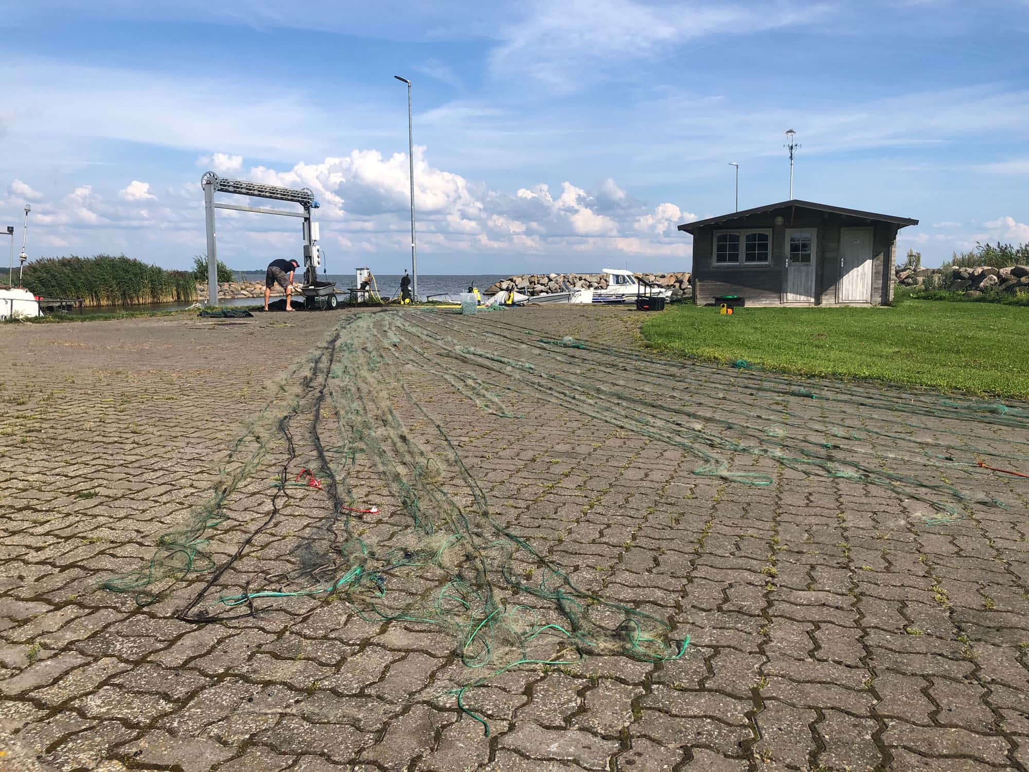 Puise WP2 Workshops_3 (Photo: © M. Press) Puise WP2 Workshops (Photo: © M. Press)