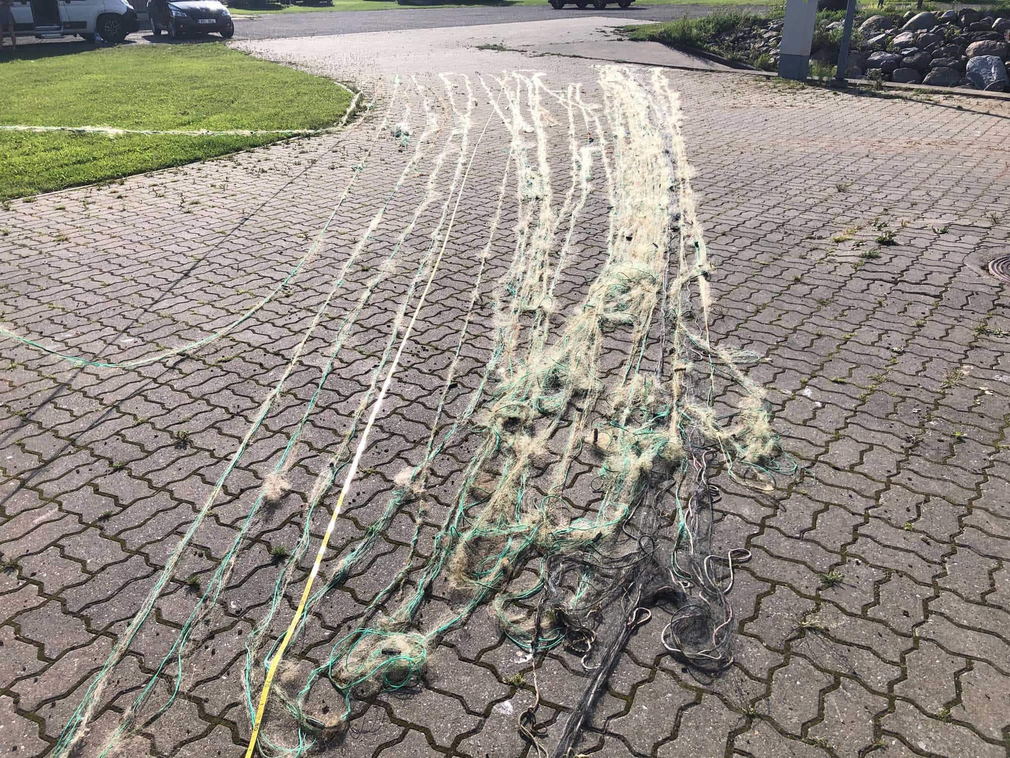 Puise WP2 Workshops_2 (Photo: © M. Press) Puise WP2 Workshops (Photo: © M. Press)