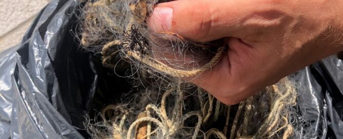 Project COREEL WP2 Meeting 28.02.2025 (Photo: © M. Press)