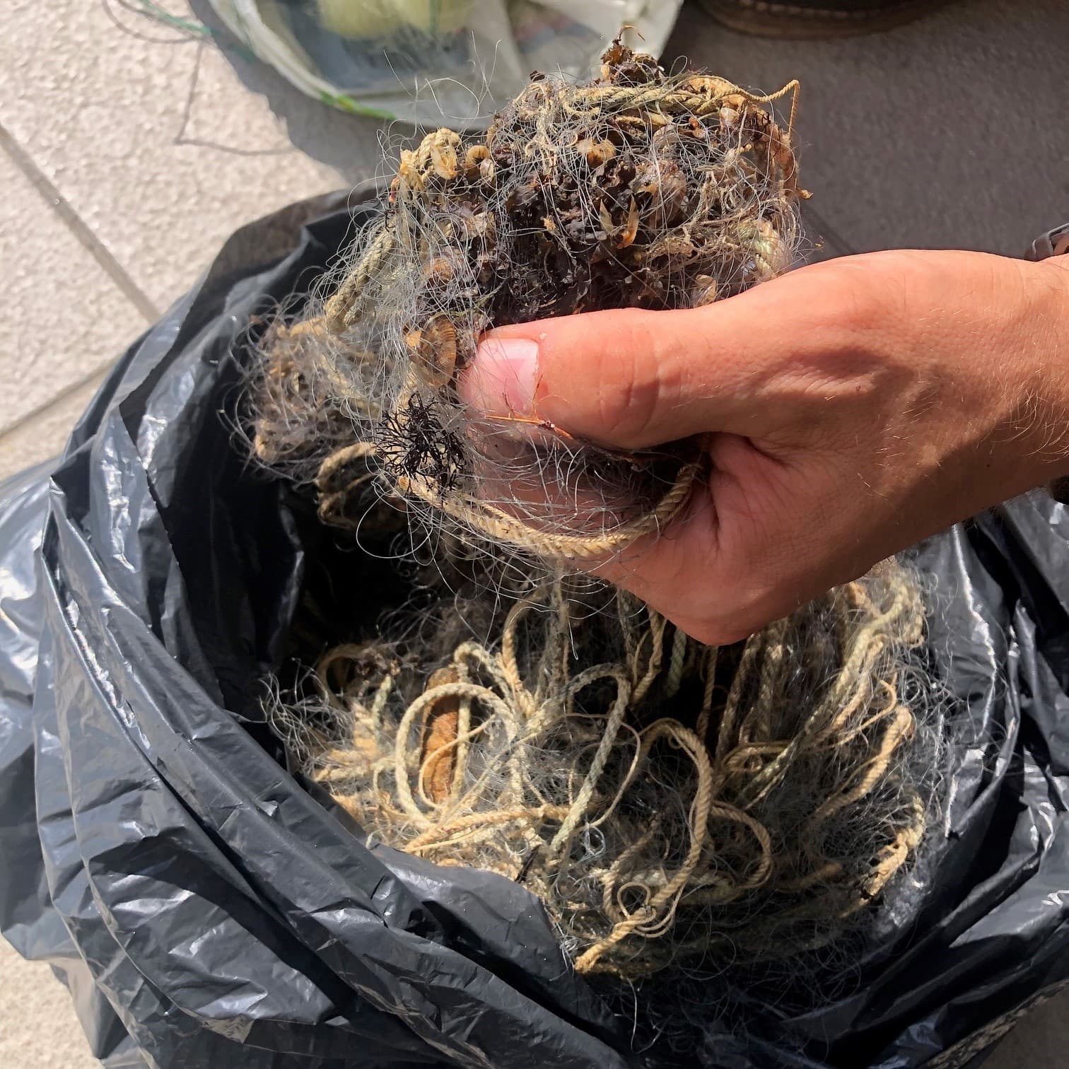 Project COREEL WP2 Meeting 28.02.2025 (Photo: © M. Press)