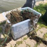 First Field Work Days in Väinameri for Project COREEL, 04.08.2025 (Photo: © M. Press)