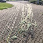 First Field Work Days in Väinameri for Project COREEL, 04.08.2025 (Photo: © M. Press)