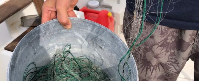 Project Update September 2025, 12.09.2025 (Photo: © M. Press)