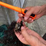 Project Update September 2025, 12.09.2025 (Photo: © M. Press)