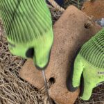 Roja WP2 Workshop_1 (Photo: © KPR)