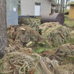 Roja WP2 Workshop_2 (Photo: © KPR)