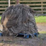 Roja WP2 Workshop_7 (Photo: © KPR)