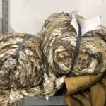 Co-op with volunteers_3 (Photo: © M. Press)