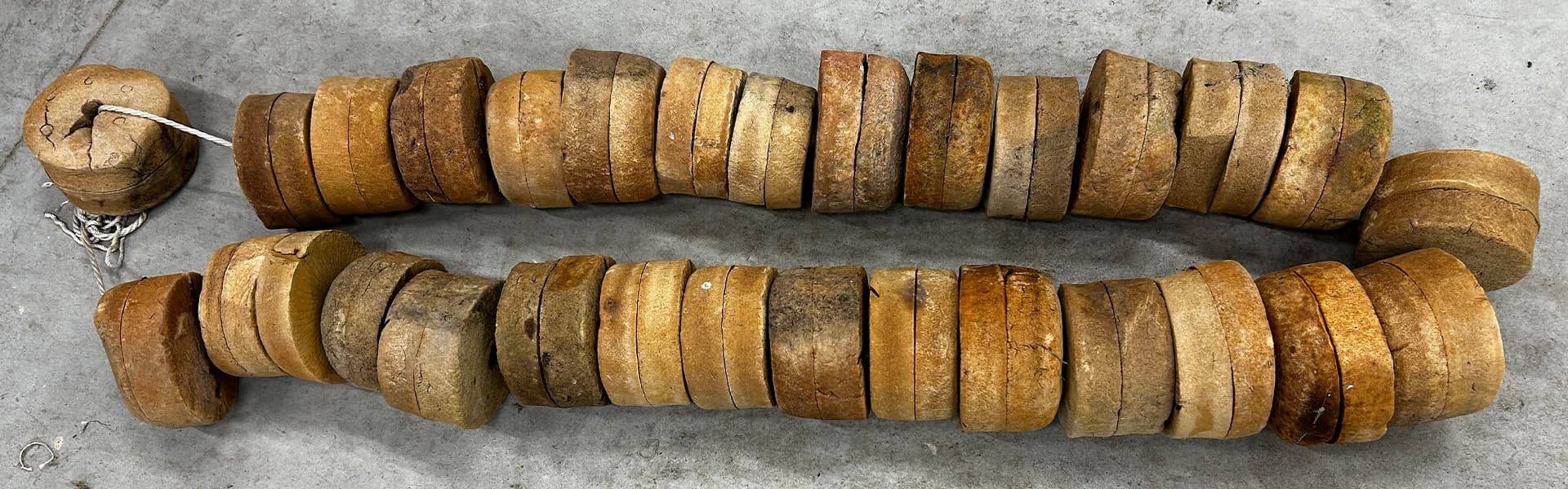 Project COREEL (Photo: © M. Press)