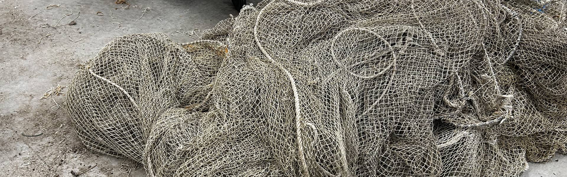 Project COREEL (Photo: © M. Press)