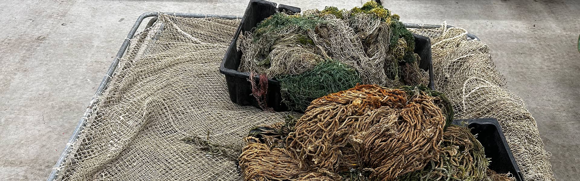 Project COREEL (Photo: © M. Press)