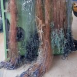 COREEL WP2 workshop: Kärdla 25.03.2026 (Photo: © Külli Soo)