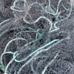 COREEL WP2 workshop: Kärdla 25.03.2026 (Photo: © Külli Soo)