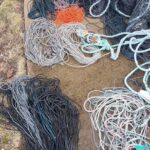 COREEL WP2 workshop: Kärdla 25.03.2026 (Photo: © Külli Soo)